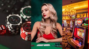 zk99 blackjack roulette live casino